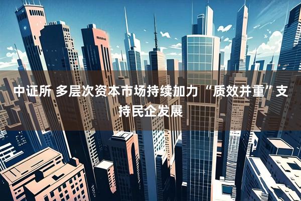 中证所 多层次资本市场持续加力 “质效并重”支持民企发展