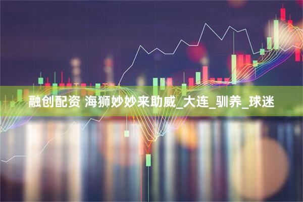 融创配资 海狮妙妙来助威_大连_驯养_球迷