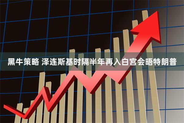 黑牛策略 泽连斯基时隔半年再入白宫会晤特朗普